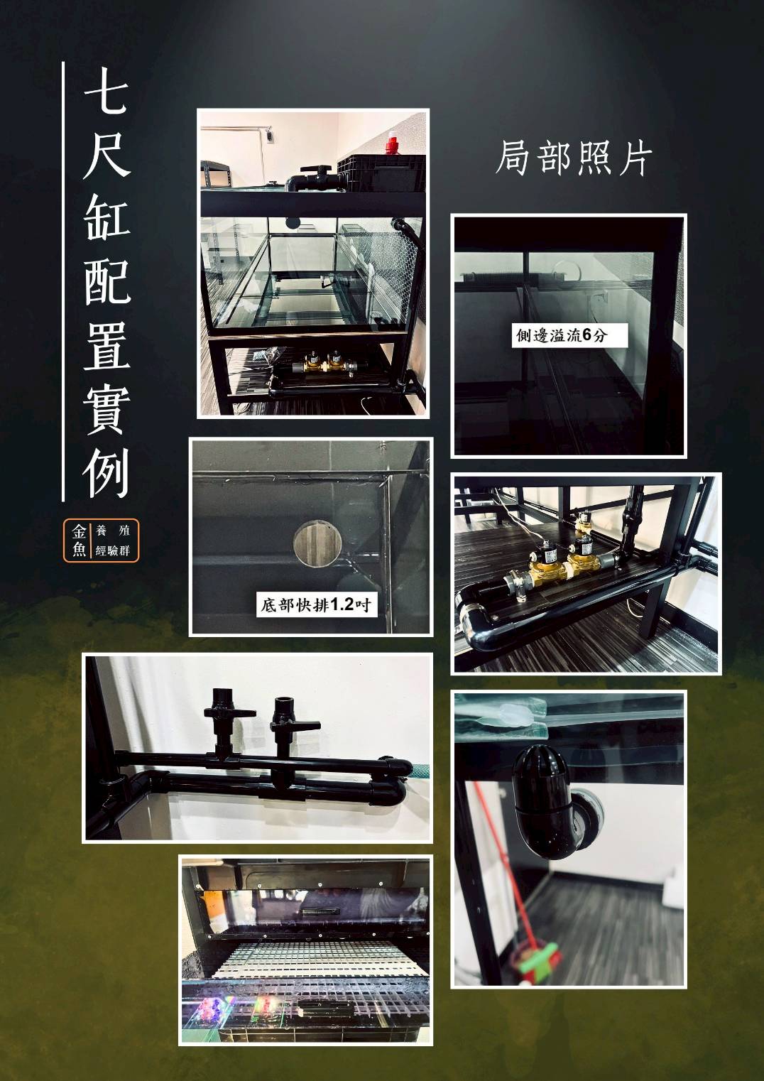 七尺缸配置實例3