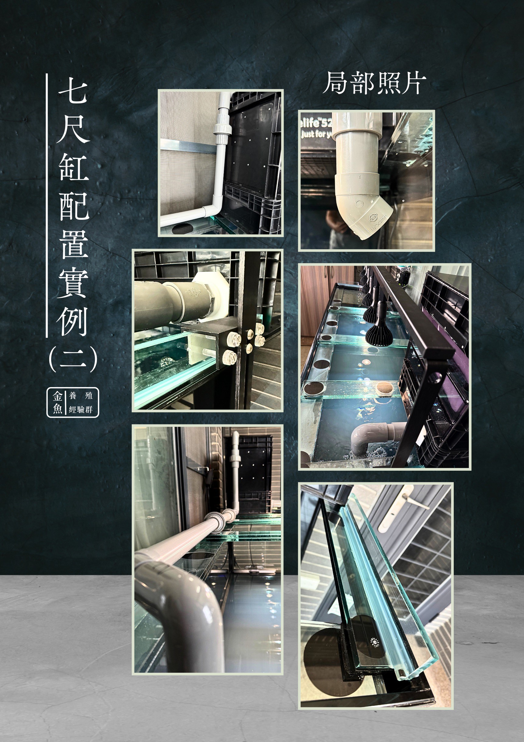 七尺缸配置實例5