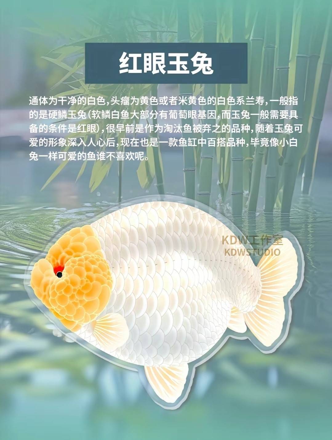 蘭壽圖鑑3