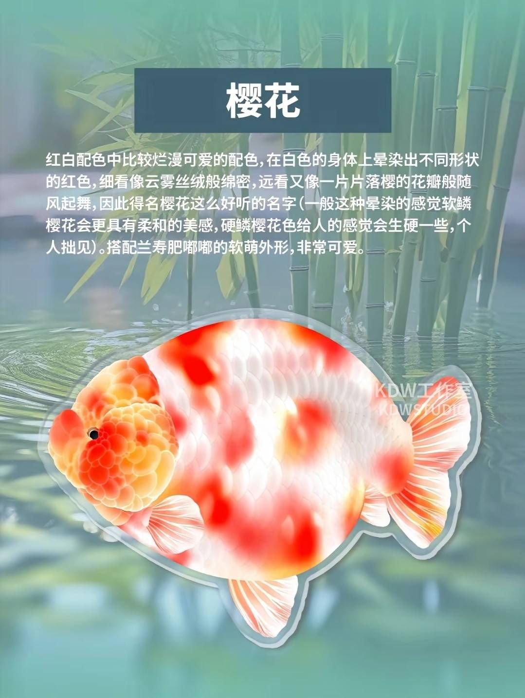蘭壽圖鑑8