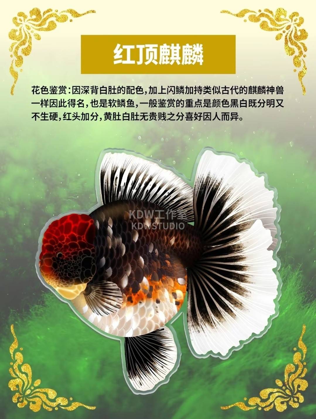 泰獅第二季6