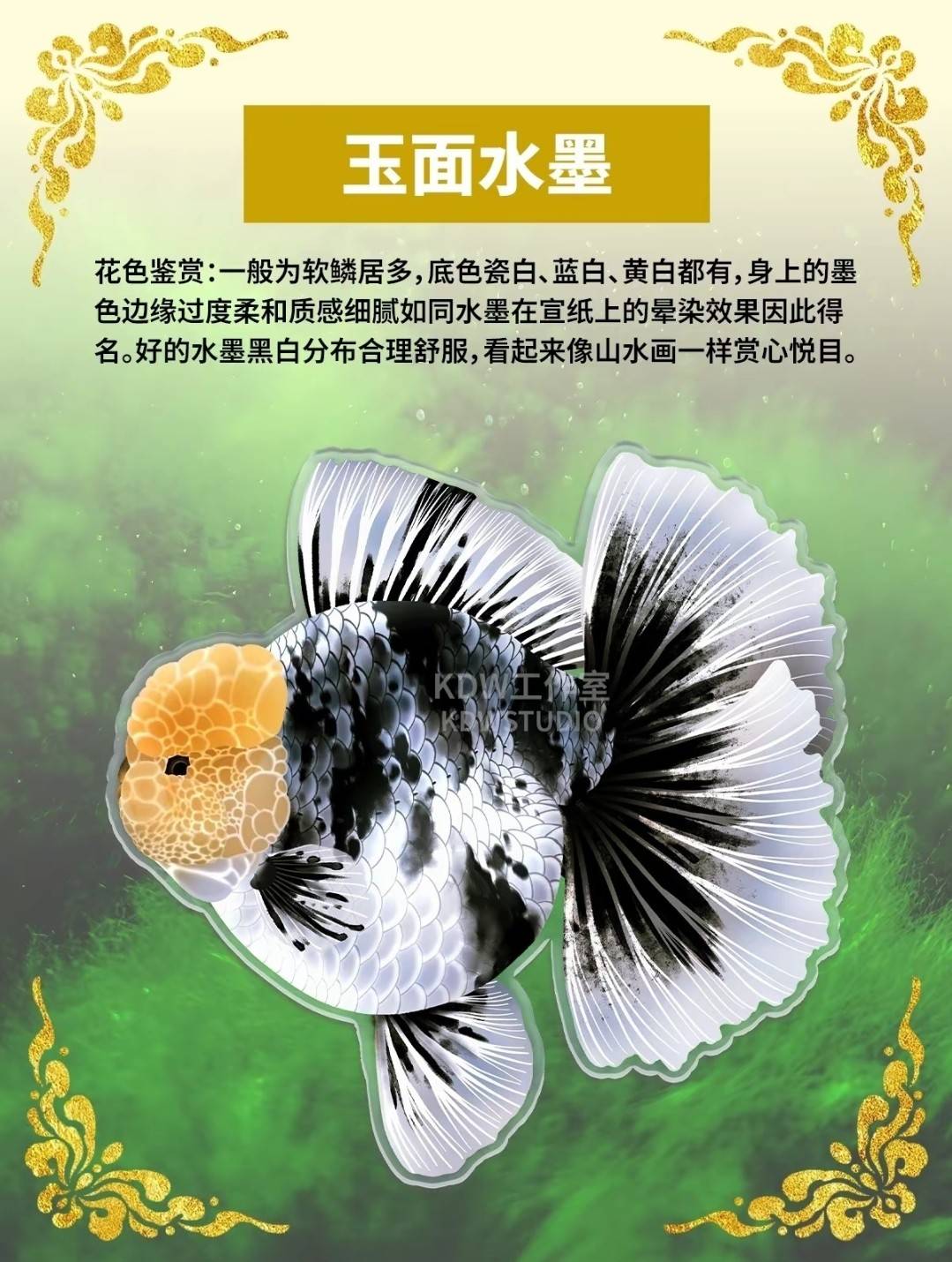 泰獅第二季8