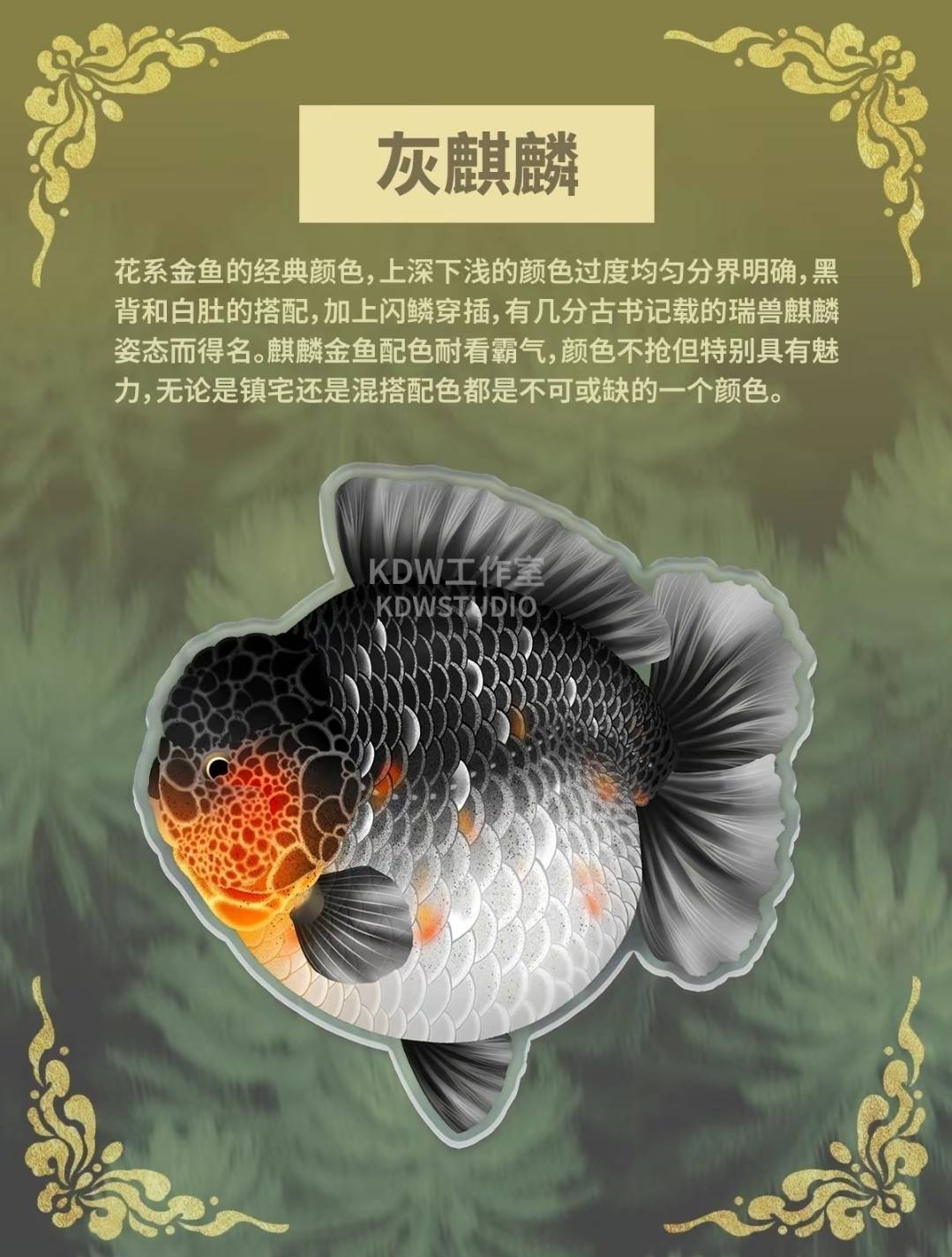 泰獅第四季6