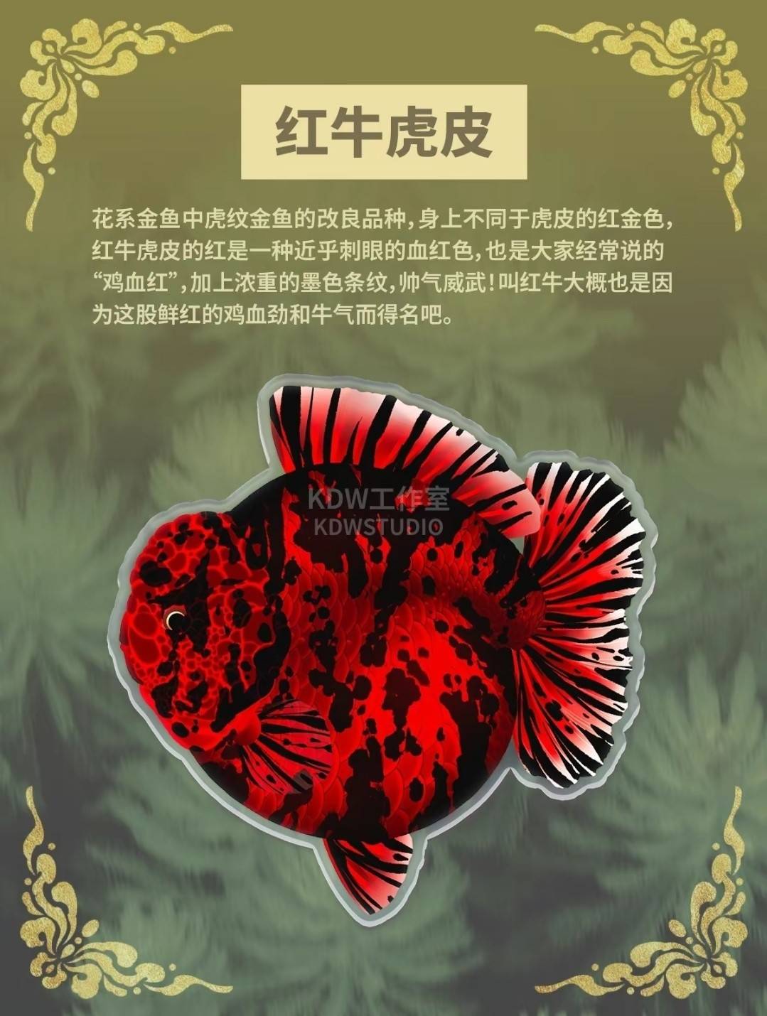 泰獅第五季2