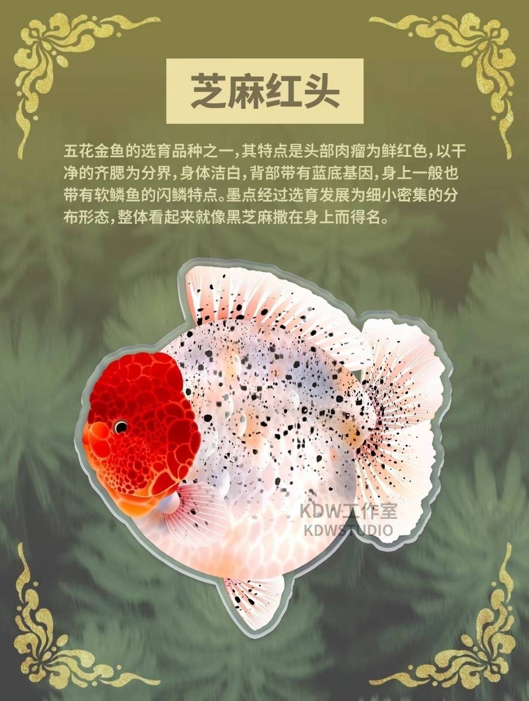 泰獅第五季3