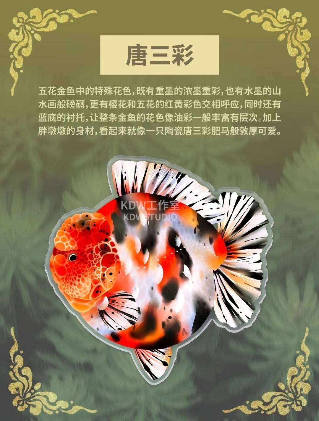 泰獅第五季4